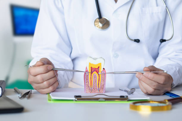 Best Emergency Dentist for Lost Fillings or Crowns in Goddard, KS